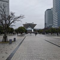 畑の画像