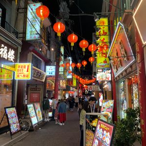 ハゴロモギク,パキラ,オリヅルラン,多肉植物,ハイドロカルチャーの画像
