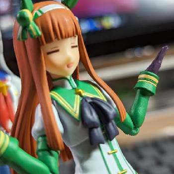 の画像