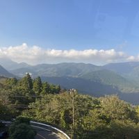 食べられる,立派な入口,出会ってしまった,100均観葉植物,山下公園の画像