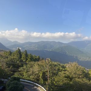 食べられる,立派な入口,出会ってしまった,100均観葉植物,山下公園の画像