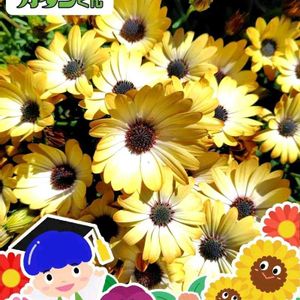 和室,ベランダ,リビング・ダイニングの画像